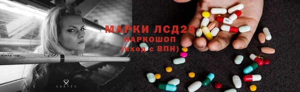 гашик Беломорск