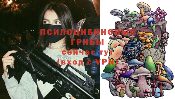 гашик Беломорск