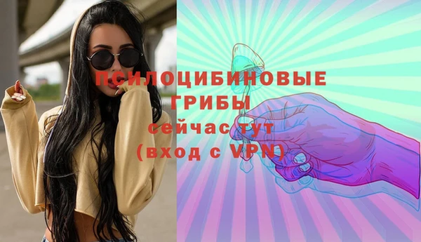 молекула духа Белокуриха