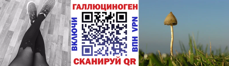 Псилоцибиновые грибы ЛСД  Шацк 