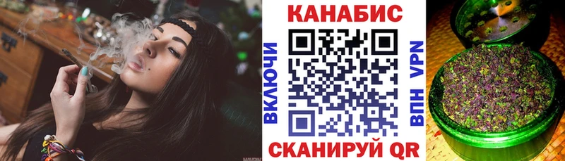 мега tor  Шацк  Каннабис индика  закладки 